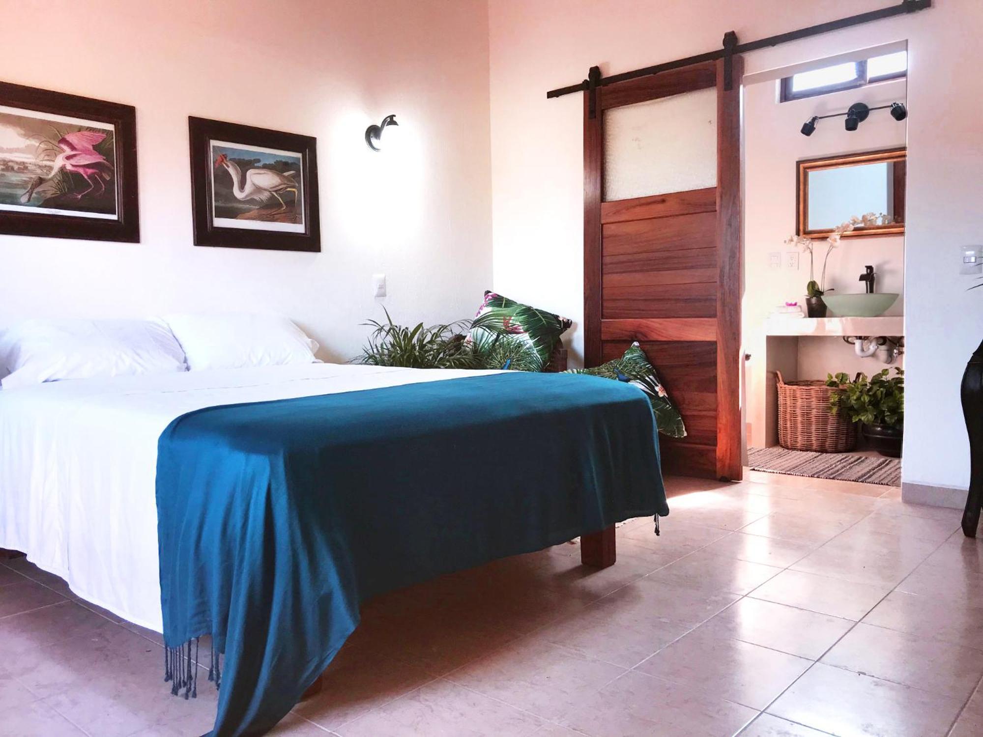 Hotel Casa Botanica Lo de Marcos Zewnętrze zdjęcie