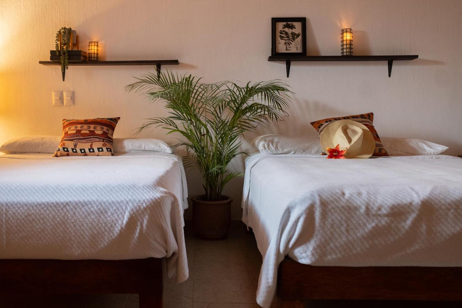 Hotel Casa Botanica Lo de Marcos Zewnętrze zdjęcie