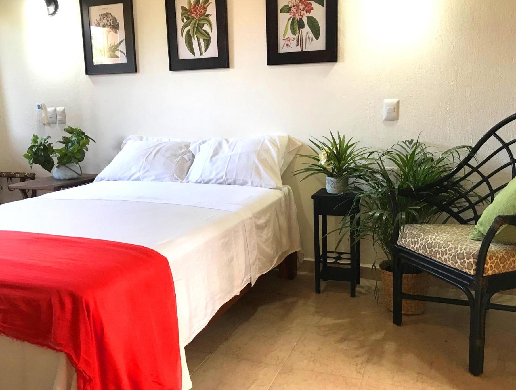 Hotel Casa Botanica Lo de Marcos Zewnętrze zdjęcie