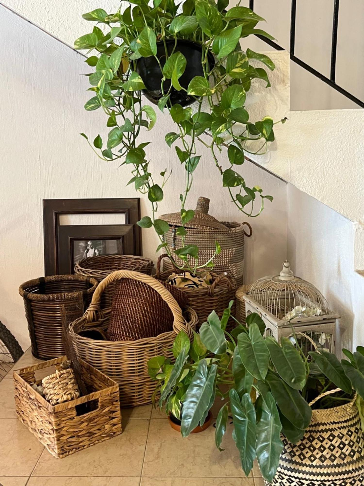 Hotel Casa Botanica Lo de Marcos Zewnętrze zdjęcie