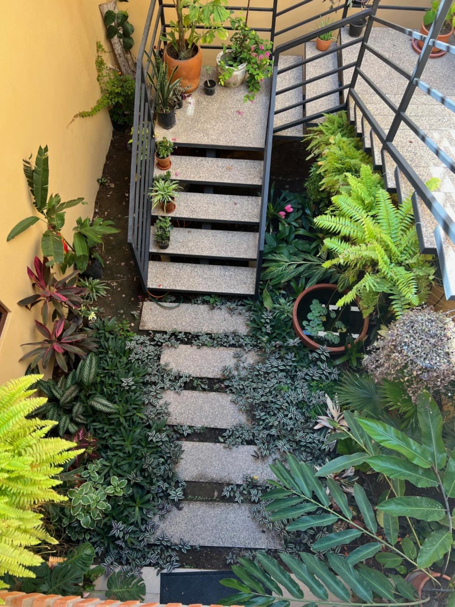 Hotel Casa Botanica Lo de Marcos Zewnętrze zdjęcie