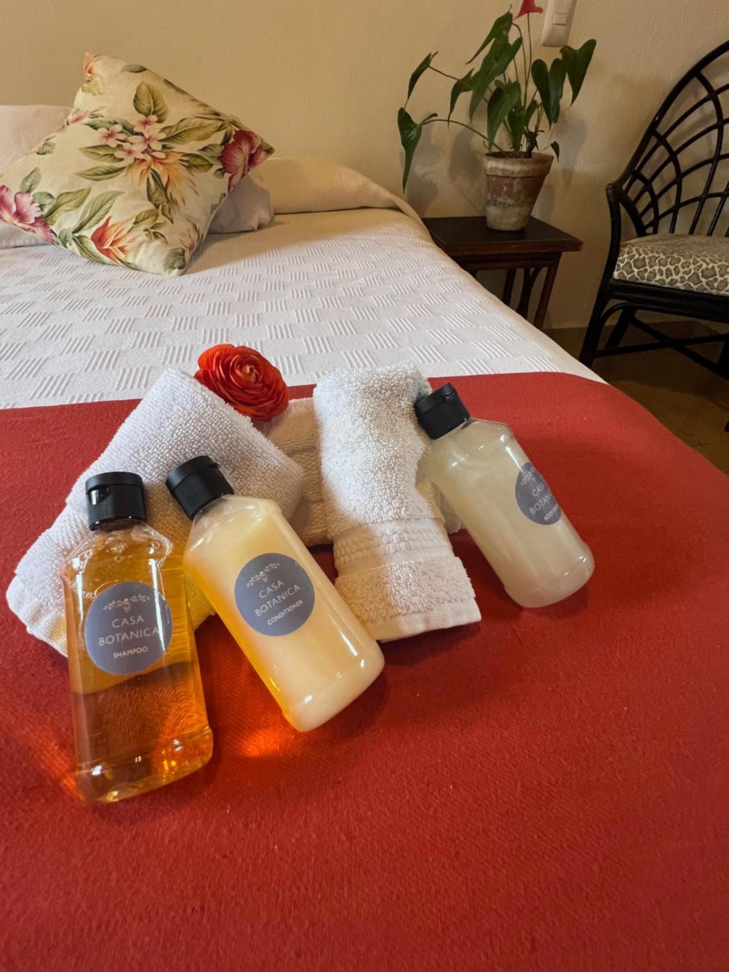 Hotel Casa Botanica Lo de Marcos Zewnętrze zdjęcie