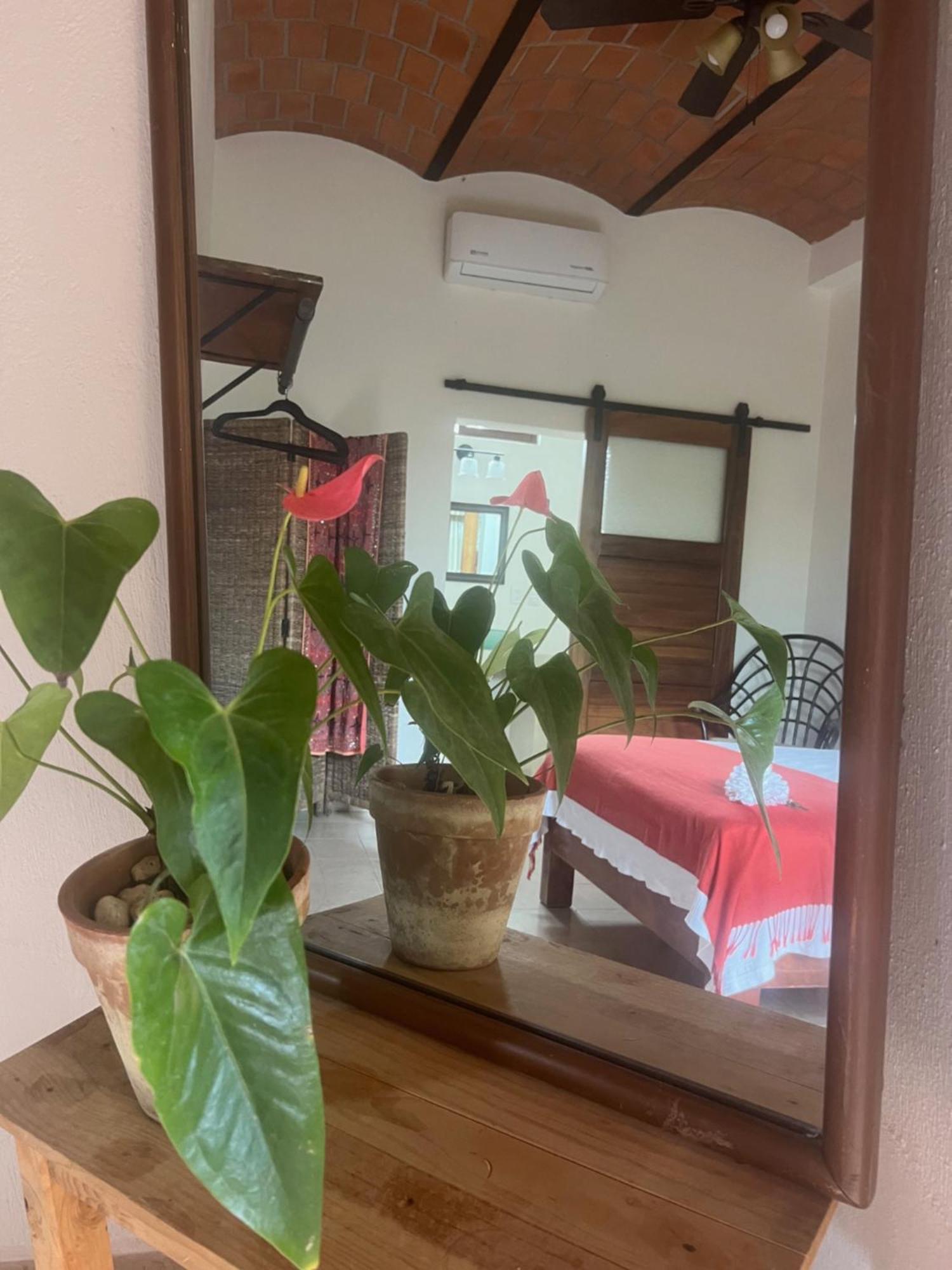 Hotel Casa Botanica Lo de Marcos Zewnętrze zdjęcie