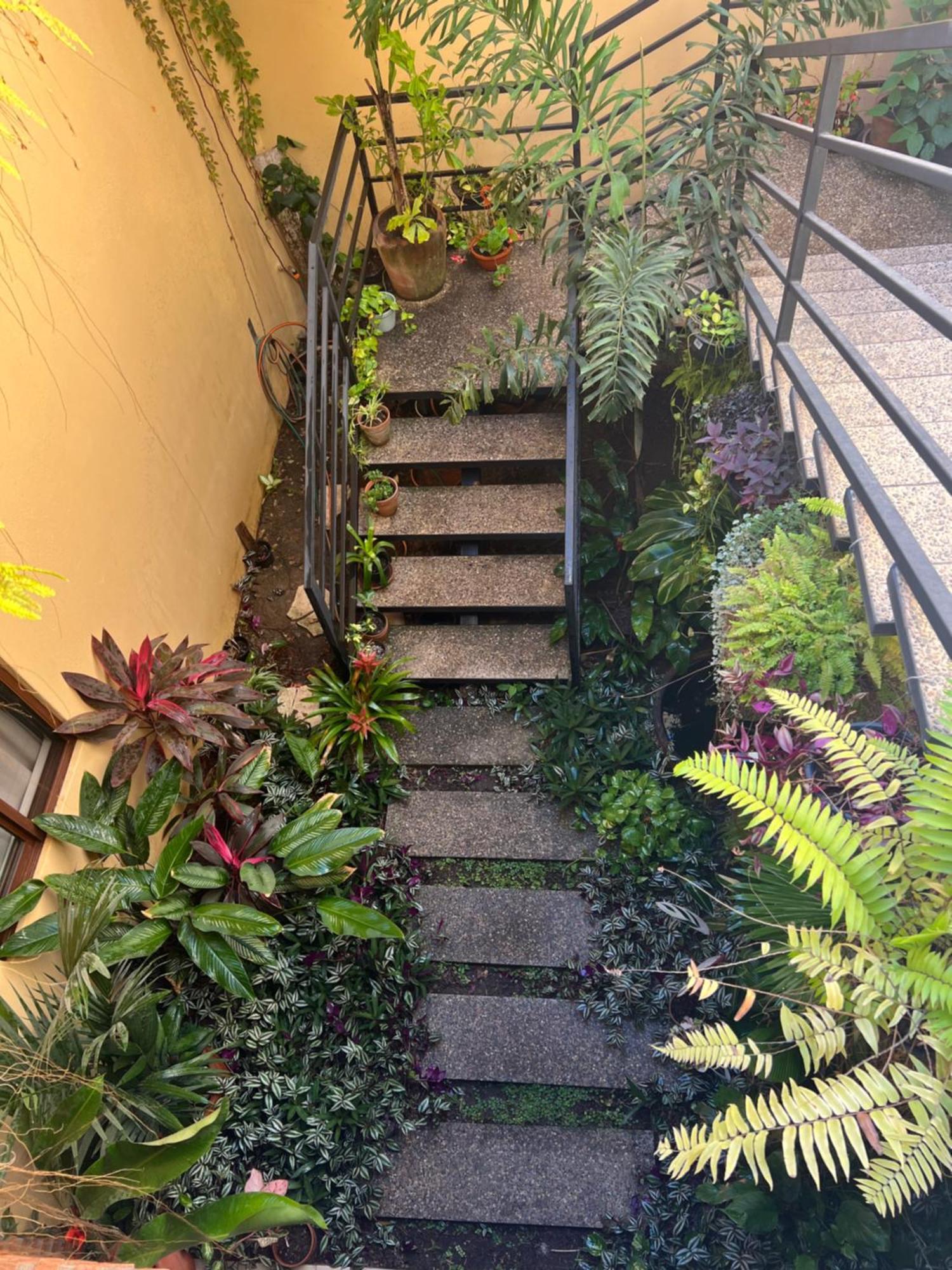 Hotel Casa Botanica Lo de Marcos Zewnętrze zdjęcie