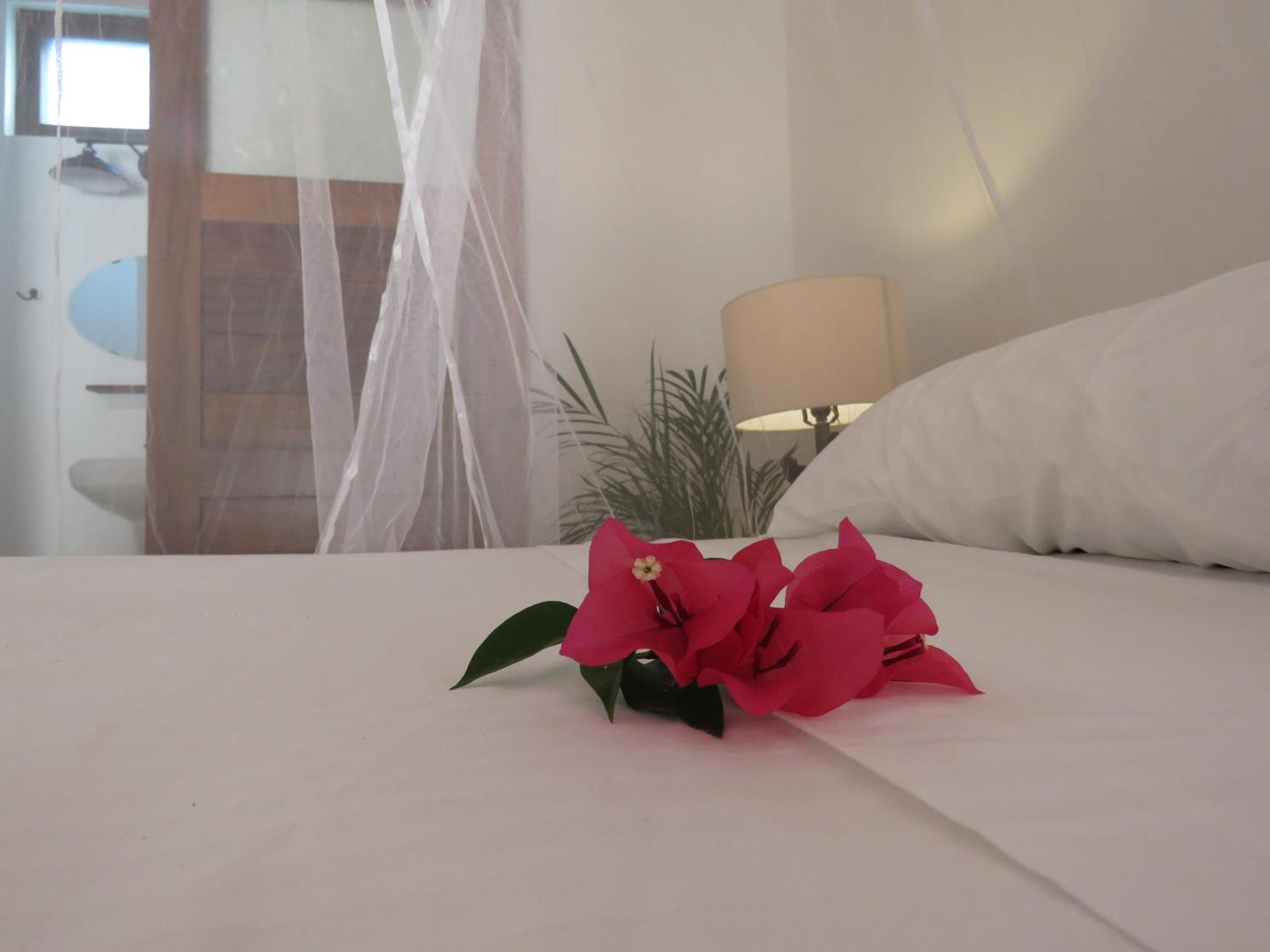 Hotel Casa Botanica Lo de Marcos Zewnętrze zdjęcie