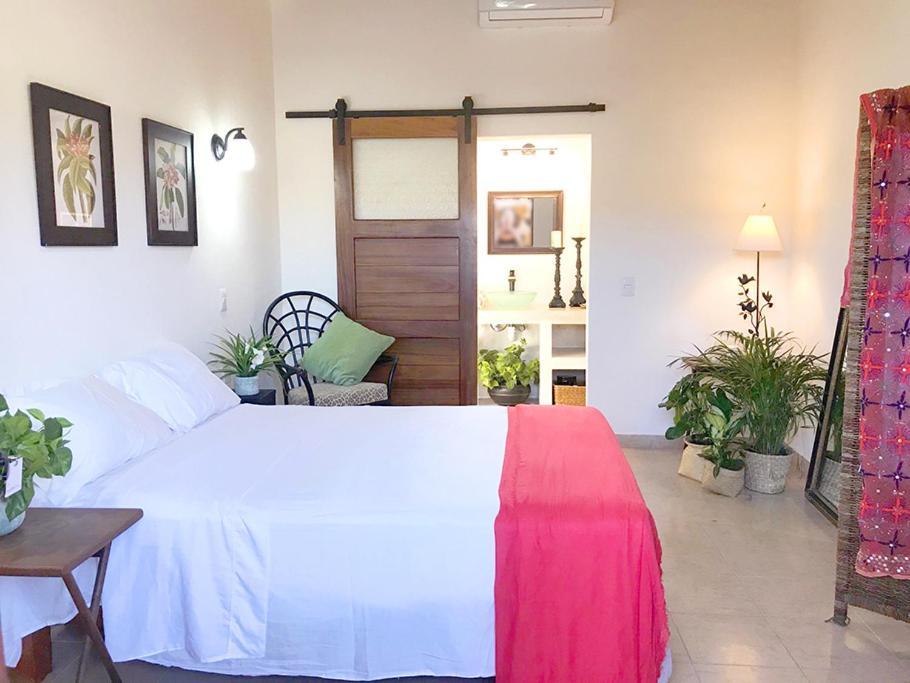 Hotel Casa Botanica Lo de Marcos Zewnętrze zdjęcie