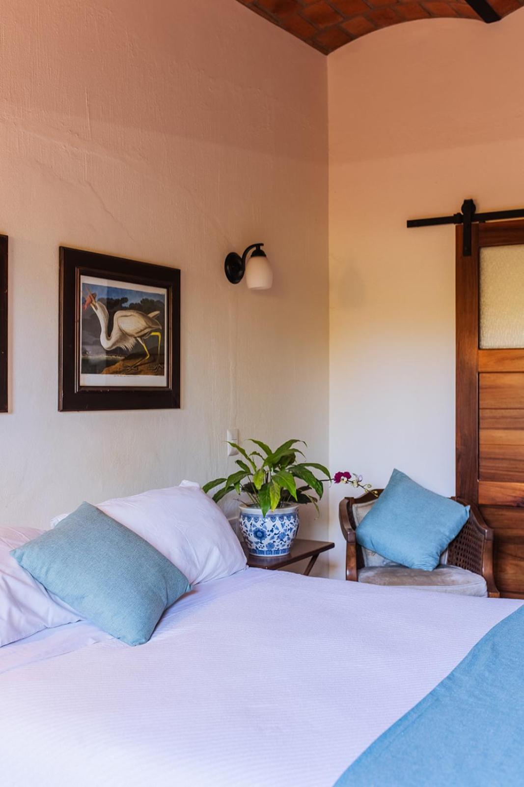 Hotel Casa Botanica Lo de Marcos Zewnętrze zdjęcie